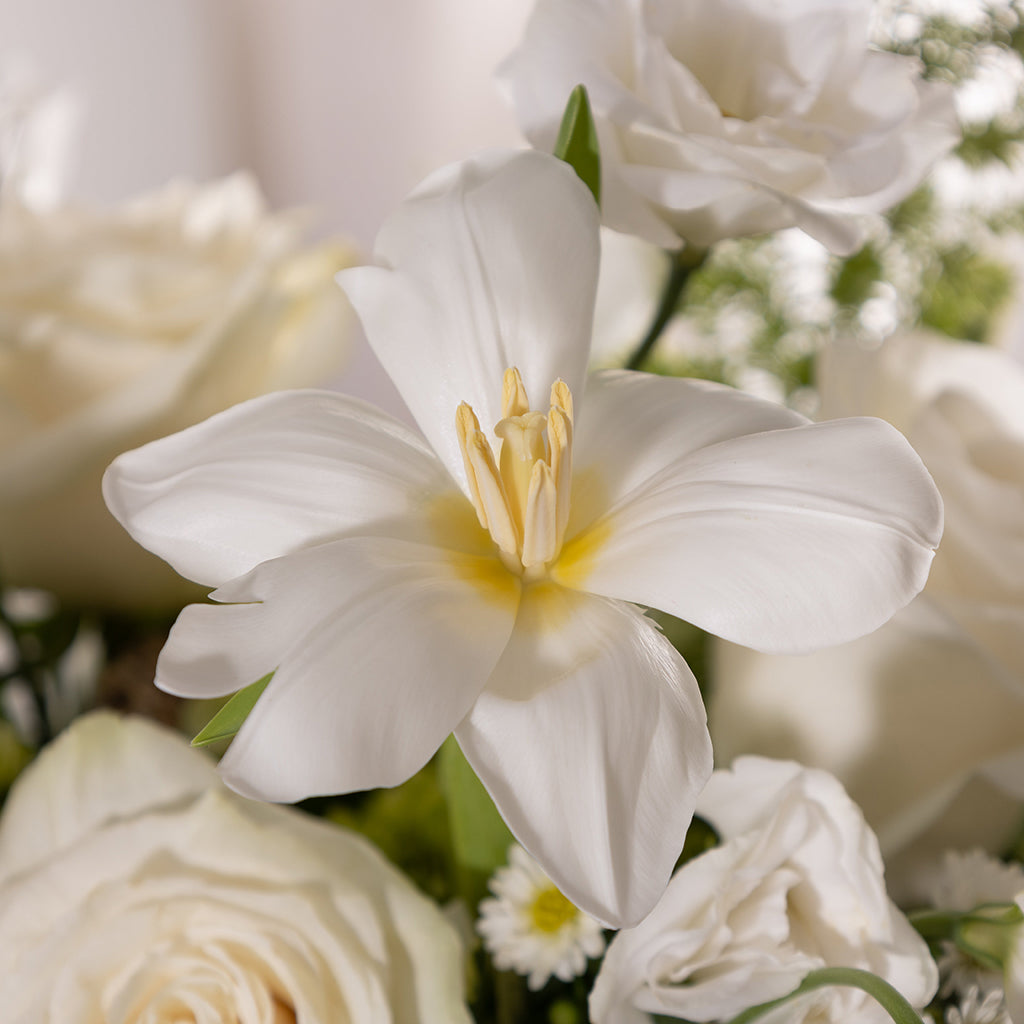 Bouquet of Tulips, Lisianthus, Green Hydrangea, Wax Flowers, White Stock, and Astrantia with Ruscus and Myrtle Leaves greeneries.